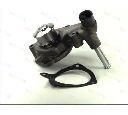 Pompa apa THERMOTEC D1G034TT</br>Piesa auto pentru Pompa apa/ Garnitura