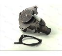 Pompa apa THERMOTEC D1G034TT</br>Piesa auto pentru Pompa apa/ Garnitura