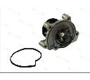 Pompa apa THERMOTEC D1M045TT</br>Piesa auto pentru Pompa apa/ Garnitura