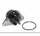 Pompa apa THERMOTEC D1P038TT</br>Piesa auto pentru Pompa apa/ Garnitura