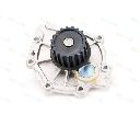 Pompa apa THERMOTEC D1V014TT</br>Piesa auto pentru Pompa apa/ Garnitura