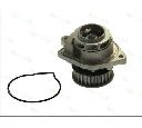 Pompa apa THERMOTEC D1W022TT</br>Piesa auto pentru Pompa apa/ Garnitura