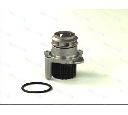 Pompa apa THERMOTEC D1W037TT</br>Piesa auto pentru Pompa apa/ Garnitura