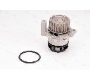 Pompa apa THERMOTEC D1W050TT</br>Piesa auto pentru Pompa apa/ Garnitura