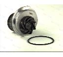 Pompa apa THERMOTEC D1X021TT</br>Piesa auto pentru Pompa apa/ Garnitura
