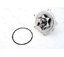Pompa apa THERMOTEC D1Y004TT</br>Piesa auto pentru Pompa apa/ Garnitura
