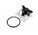 Pompa apa THERMOTEC D1Y006TT</br>Piesa auto pentru Pompa apa/ Garnitura