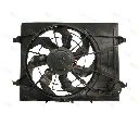 Ventilator, radiator THERMOTEC D80301TT</br>Piesa auto pentru Sistem de racire motor