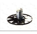 Ventilator, radiator THERMOTEC D8W012TT</br>Piesa auto pentru Sistem de racire motor