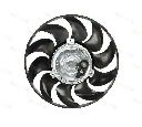 Ventilator, radiator THERMOTEC D8W024TT</br>Piesa auto pentru Sistem de racire motor
