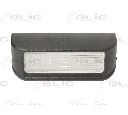 Iluminare numar de circulatie BLIC 5402-009-31-900</br>Piesa auto pentru Bec numar inmatriculare