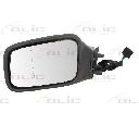Oglinda exterioara BLIC 5402-04-1125517P</br>Piesa auto pentru Celula pasager