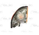 Semnalizator BLIC 5403-02-012101P</br>Piesa auto pentru Semnalizare / elemente