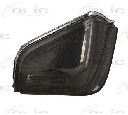 Semnalizator BLIC 5403-03-10010S</br>Piesa auto pentru Semnalizare / elemente