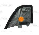 Semnalizator BLIC 5403-05-003101</br>Piesa auto pentru Semnalizare / elemente