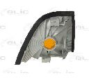 Semnalizator BLIC 5403-05-004101P</br>Piesa auto pentru Semnalizare / elemente