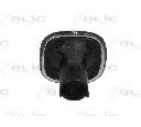 Semnalizator BLIC 5403-25-016104S</br>Piesa auto pentru Semnalizare / elemente