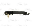 Maner usa BLIC 6010-01-009401P</br>Piesa auto pentru Categorii
