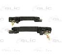 Maner usa BLIC 6010-01-015407P</br>Piesa auto pentru Categorii