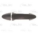Maner usa BLIC 6010-03-046402P</br>Piesa auto pentru Categorii