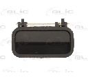 Maner usa BLIC 6010-04-020406P</br>Piesa auto pentru Categorii