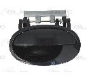 Maner usa BLIC 6010-04-040403P</br>Piesa auto pentru Categorii