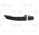 Maner usa BLIC 6010-04-048402P</br>Piesa auto pentru Categorii