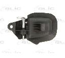 Maner usa BLIC 6010-05-004408P</br>Piesa auto pentru Categorii