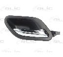 Maner usa BLIC 6010-05-011408P</br>Piesa auto pentru Categorii