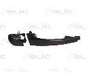 Maner usa BLIC 6010-05-013402P</br>Piesa auto pentru Categorii