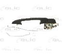 Maner usa BLIC 6010-07-017402P</br>Piesa auto pentru Categorii