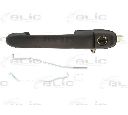 Maner usa BLIC 6010-07-017402P</br>Piesa auto pentru Categorii