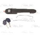Maner usa BLIC 6010-07-017402PP</br>Piesa auto pentru Categorii