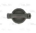 Maner usa BLIC 6010-07-029410LP</br>Piesa auto pentru Sistem de inchidere