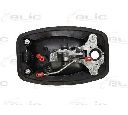 Maner usa BLIC 6010-07-038417P</br>Piesa auto pentru Categorii