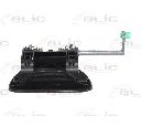 Maner usa BLIC 6010-08-015402P</br>Piesa auto pentru Categorii