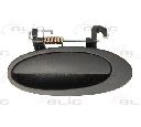 Maner usa BLIC 6010-09-003403P</br>Piesa auto pentru Sistem de inchidere