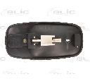 Maner usa BLIC 6010-09-041410P</br>Piesa auto pentru Categorii