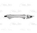 Maner usa BLIC 6010-12-055401P</br>Piesa auto pentru Categorii