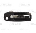 Maner usa BLIC 6010-16-029402P</br>Piesa auto pentru Sistem de inchidere