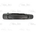 Maner usa BLIC 6010-17-008404P</br>Piesa auto pentru Categorii