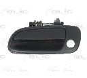 Maner usa BLIC 6010-19-017401P</br>Piesa auto pentru Sistem de inchidere