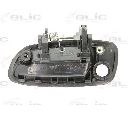 Maner usa BLIC 6010-19-017402P</br>Piesa auto pentru Sistem de inchidere