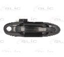 Maner usa BLIC 6010-19-035402P</br>Piesa auto pentru Categorii