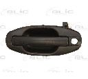 Maner usa BLIC 6010-20-021401P</br>Piesa auto pentru Categorii