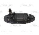 Maner usa BLIC 6010-20-021403P</br>Piesa auto pentru Categorii