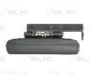 Maner usa BLIC 6010-21-016401P</br>Piesa auto pentru Categorii