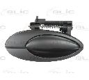 Maner usa BLIC 6010-21-020404P</br>Piesa auto pentru Categorii