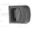 Maner usa BLIC 6010-30-002401P</br>Piesa auto pentru Categorii