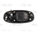 Maner usa BLIC 6010-53-012401P</br>Piesa auto pentru Sistem de inchidere